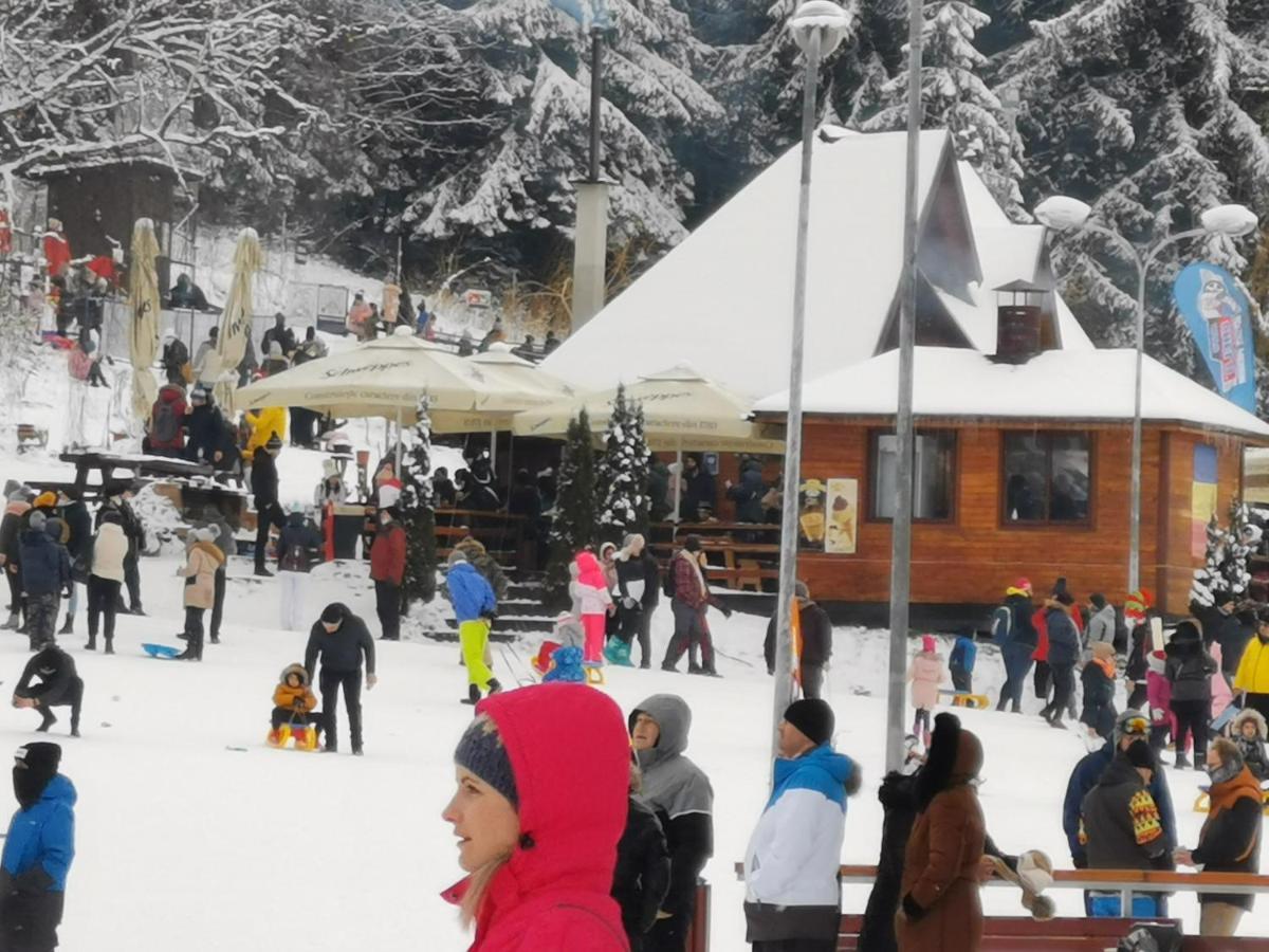 Challet Montan โปยานาบราซอฟ ภายนอก รูปภาพ