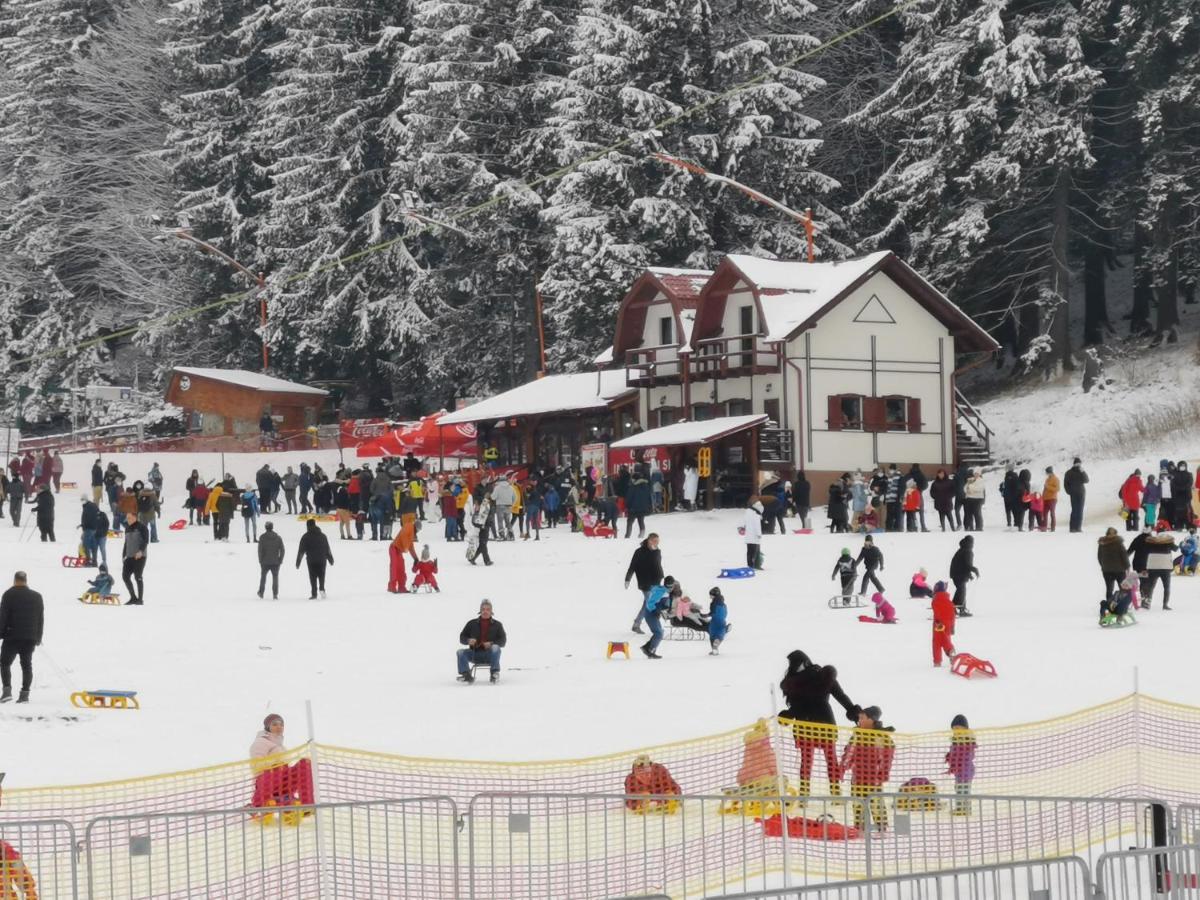 Challet Montan โปยานาบราซอฟ ภายนอก รูปภาพ