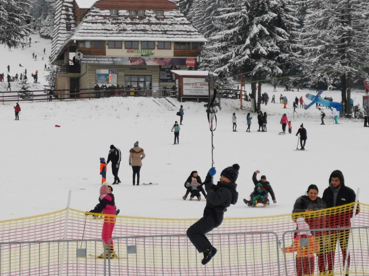 Challet Montan โปยานาบราซอฟ ภายนอก รูปภาพ