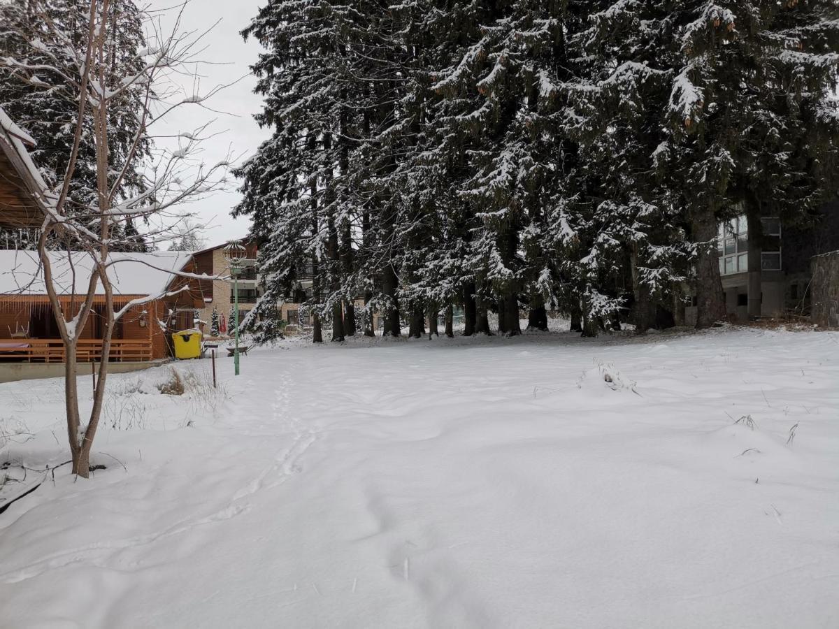 Challet Montan โปยานาบราซอฟ ภายนอก รูปภาพ