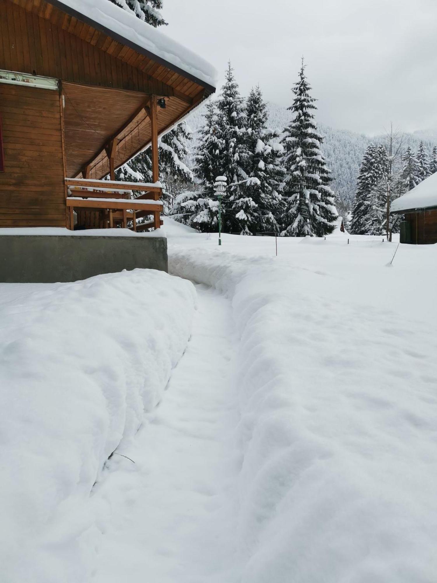 Challet Montan โปยานาบราซอฟ ภายนอก รูปภาพ