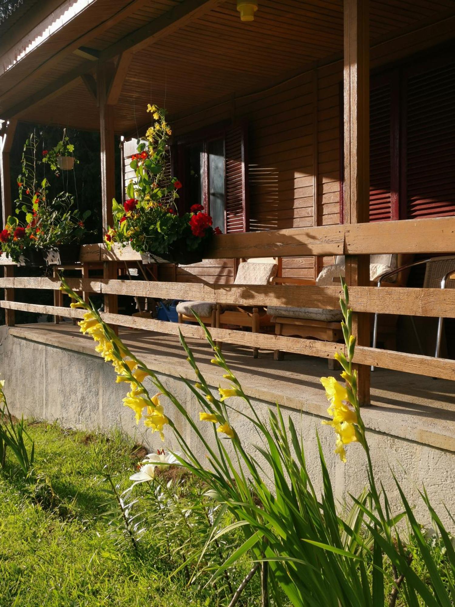 Challet Montan โปยานาบราซอฟ ภายนอก รูปภาพ